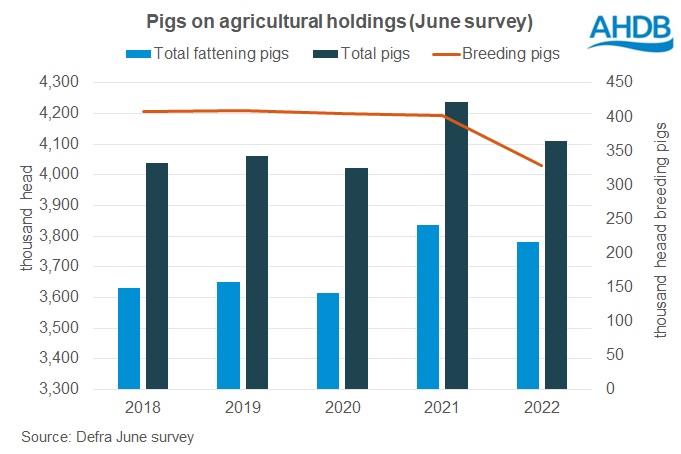 graph showing the number of pigs on agricultural holdings according to Defra